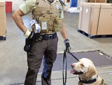 Officer standing with this dog on a leash in a warehouse.