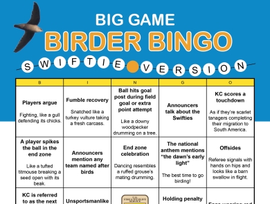 Bingo card titled “Big Game Birder Bingo: Swiftie Version.” There are five rows and five columns. The cells from left to right read: 1. Players argue. Fighting, like a gull defending its chicks. 2. Fumble recovery. Snatched like a turkey vulture taking a fresh carcass. 3. Ball hits goal post during field goal or extra point attempt. Like a downy woodpecker drumming on a tree. 4. Announcers talk about the Swifties. 5. KC scores a touchdown. As if they’re scarlet tanagers, completing their migration to South 