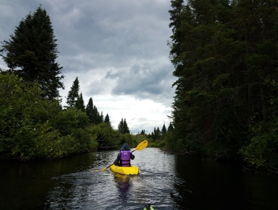 A bright yellow kayak glides through on a glass-smooth river surrounded by towering evergreen trees. In the distance ominous clouds hover in a clearing sky on the horizon. 