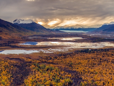 Scenic Alaska landscape with forests in the foreground and mountains in the background. 