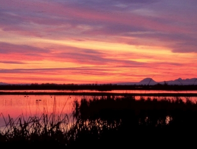 A cloudy, orange sky at dawn over a marsh, with mountains barely visible on the distant horizon