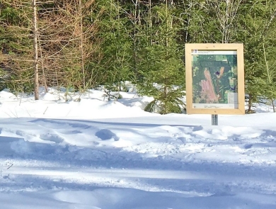 A woman cross-country skiing on a snow-covered trail with directional signs in the foreground and forest in the background