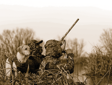 Two hunters in camo clothing hide with a hunting dog in the tules beside a marsh. One hunter is using duck call while the other holds a shotgun. 
