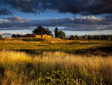 Sunset with clouds in the sky, building on top of hill overlooking wetland filled with grass and other plants 