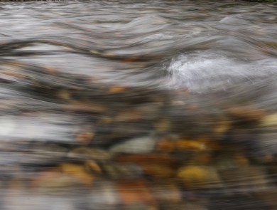 Clear river water flows over a rock-covered stream bottom