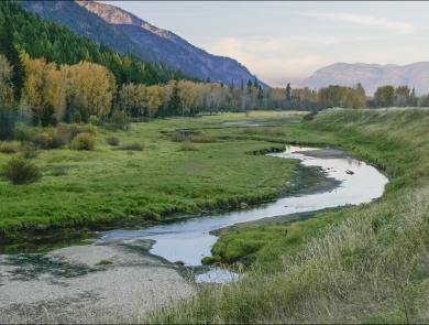 Nestled beside the Selkirk Mountains of northern Idaho, this 2,774 acre refuge provides diverse habitats for a large variety of wildlife.