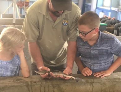juvenile Lake Sturgeon raised at Edenton NFH with Deputy Manager and Children