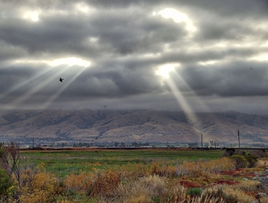 Sun rays shining through dark clouds over a green-and-brown landscape