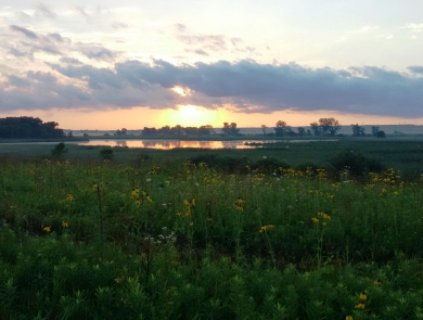 sun rises over water and prairie plants on a marsh