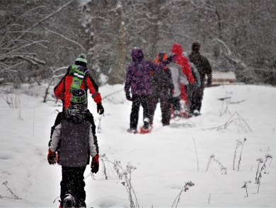  A line of kids snowshoeing in falling snow