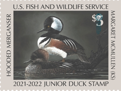 Details about   2016 Duck Stamp Calendar 12 Month Pictures of Duck Stamps & The Duck Stamp Story 