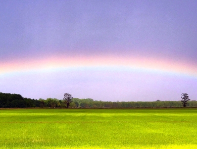 A rainbow over a bright green field