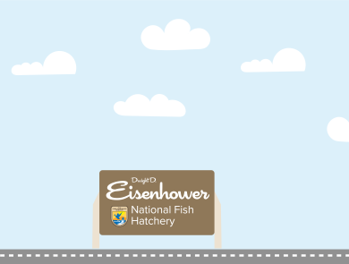 A graphic featuring a light blue sky with puffy clouds. At the bottom of the graphic, a fish drives a car along a road toward a sign that reads "Dwight D. Eisenhower National Fish Hatchery"