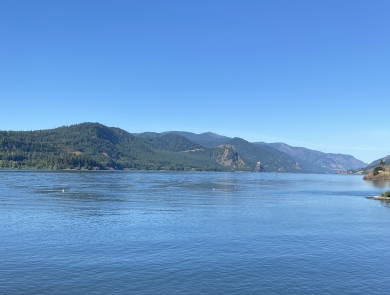 Columbia River from shoreline
