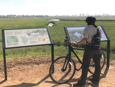 A woman wearing a brown U.S. Fish and Wildlife Service uniform reading two interpretive panels at the side of a grassy expanse bisected by a meandering slough