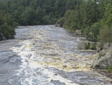 A river churns along the rocky rapids. Evergreen trees frame either side of the water. 