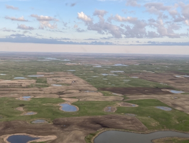 View from an airplane of wetlands on the landscape