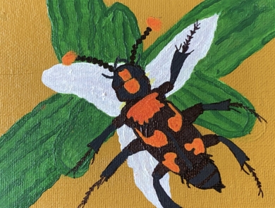 Painting of an American burying beetle and flowering Texas trillium.