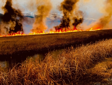 Flames and smoke rise up with mountain in background and dry tan grass in foreground