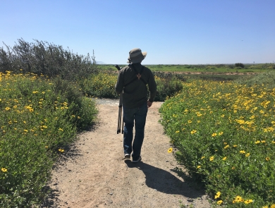 Adult wearing bucket hat and carrying a viewing scope walks on trail surrounded by yellow flowers.