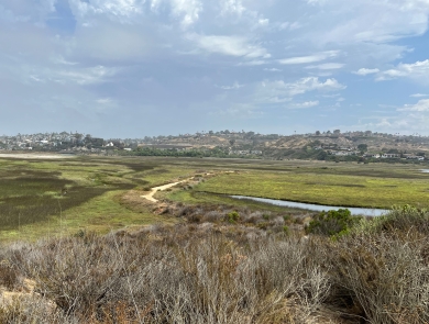 landscape of green wetlands with houses on hills in background