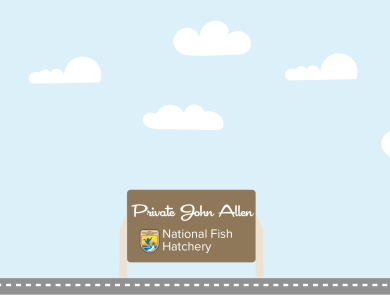 A graphic featuring a light blue sky with puffy clouds. At the bottom of the graphic, a fish drives a car along a road toward a sign that reads "Private John Allen National Fish Hatchery"
