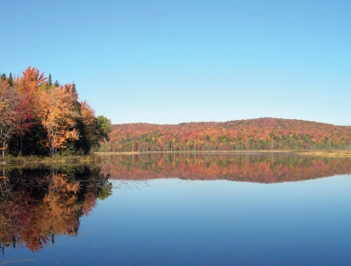 a view over a lake of a mountain with trees in fall foliage and reflected in the water