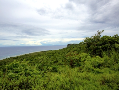 A coastal view of Guam National Wildlife Refuge that overlooks the ocean. The land is covered in lush, green plant live. The clouds paint a grey hue across the sky where it meets the ocean in the distance.