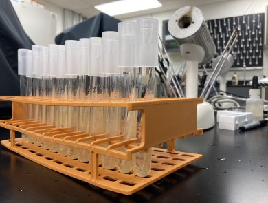 Vials in vial holder in lab