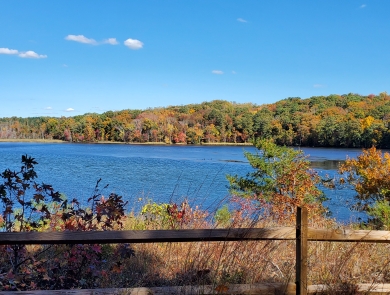 View across a waterbody lined with trees in fall foliage. A wooden fence sits in the foreground