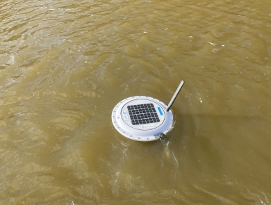 Floating white water quality sensor on surface of brown water Lake Mattamuskeet