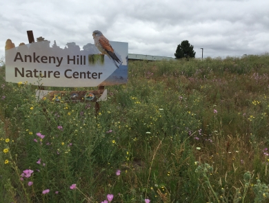 Ankeny Hill Nature Center sign in the foreground, the nature center in the background, in a meadow.