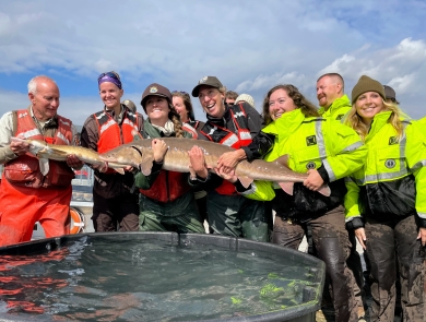 A group of people hold a large fish over a tank of water