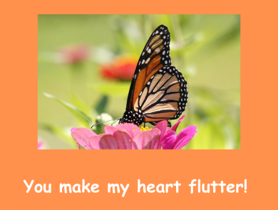 Graphic of an orange Valentine’s Day card with an image of a monarch butterfly perched on a flower. Text below that reads “you make my heart flutter!” A space for “to and from.” Graphic of the U.S. Fish and Wildlife Service logo on the bottom right corner. 