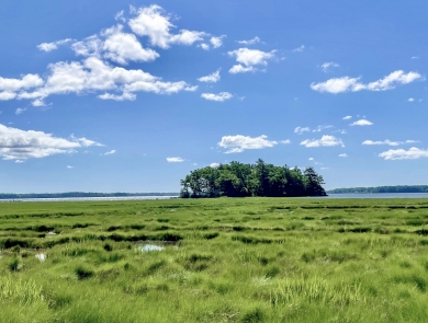 New England tidal marsh on a sunny day along the coast