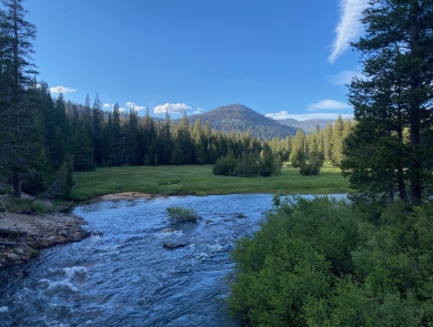 A beautiful landscape with a running river surrounded by trees and a mountain in the distance.