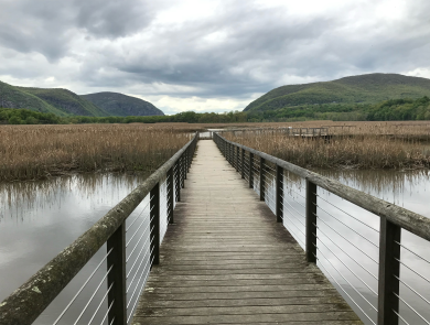 a boardwalk leads into a vast marsh with rolling mountains in the distance