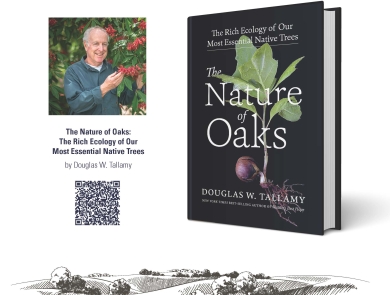 Spring Wild Read Poster 