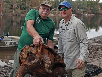 Kevin Enge, left, FWC, and Travis Thomas, UF, right, pose while holding a large male Suwannee alligator snapping turtle with their boat and Suwannee River in the background. This is the 15th year the two men have been trapping and monitoring the Suwannee alligator snapping turtle to conserve and protect them. 