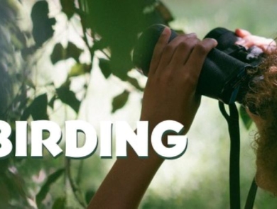 PDX My People's Birding