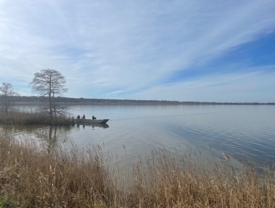 A calm lake landscape with a small boat up against a marshy shoreline with trees. A net held up with buoys is visible in a line extending out into the lake from the boat
