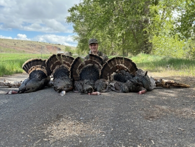 Image of adult man smiling behind vertical line of illegally killed turkeys on ground with sky and hills in background