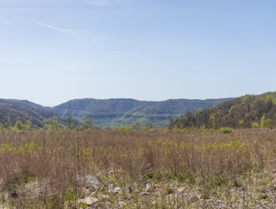 a landscape view of a grass field with mountains in the background under a clear blue sky