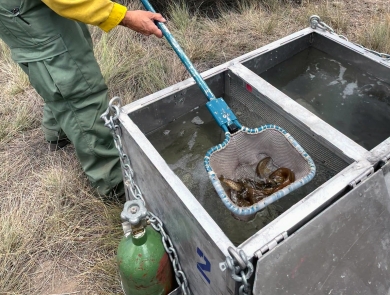 a wildfire fighter wearing yellow and green holds a net full of fish, above a metal box