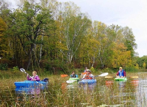 A half dozen kayakers navigate a stream in fall