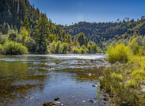 a landscape of a river with tree covered hills in the background