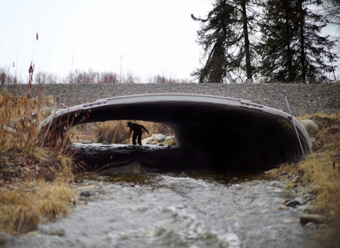 A person is walks through a large wide culvert that passes under a gravel road. A small river runs through the culvert.