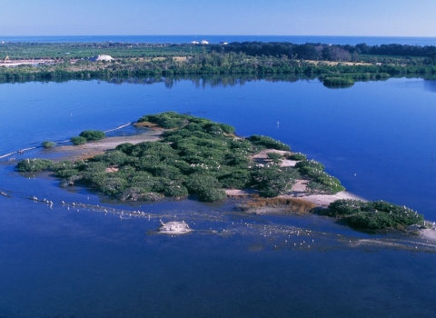 Aerial view of a small island with sand and green vegetation on it, surrounded by deep blue water