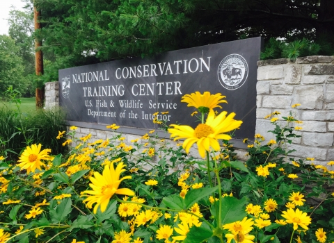 stone wall engraved with National Conservation Training Center, USFWS with multiple yellow flowers