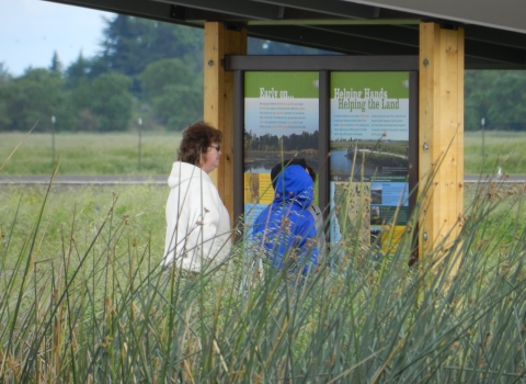 Visitors at Blue Heron Trails kiosk at Stone Lakes National Wildlife Refuge